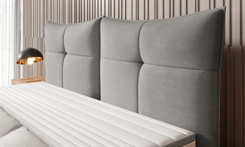 CADIS 8