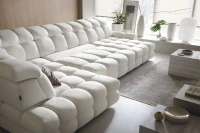 TOLLO XL 5