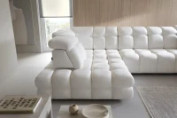 TOLLO XL 8